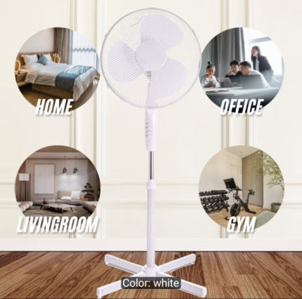 Fan features three speed